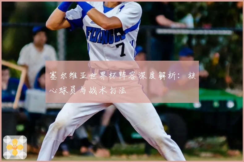 塞尔维亚世界杯阵容深度解析：核心球员与战术打法